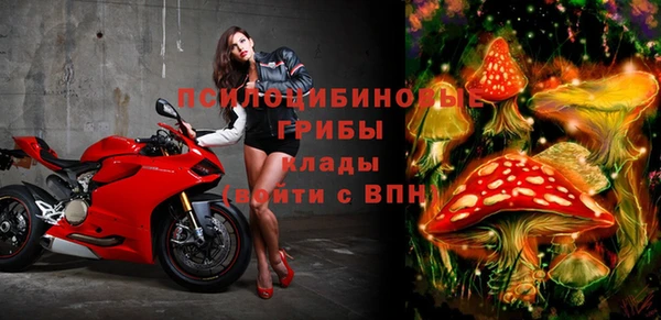 2c-b Мегион