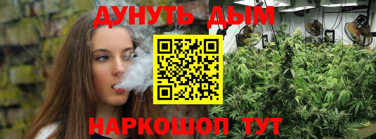 Шишки марихуана конопля  МАРИХУАНА планчик  МАРИХУАНА ГИДРОПОН  Вход с VPN  Мурино 